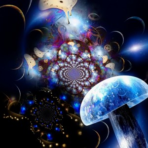 Hallucinogenic Mushroom